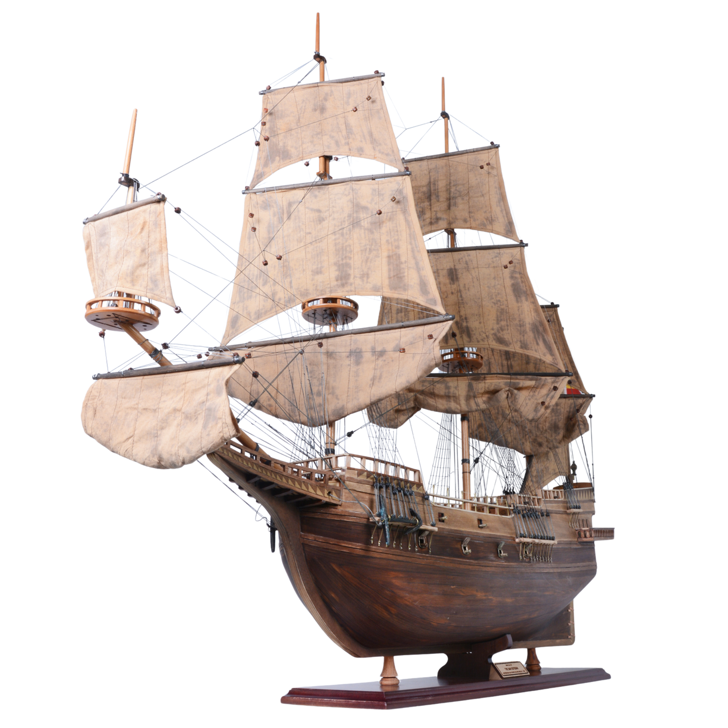 T404 - San Esteban (1554 Shipwreck)