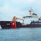 USCGC Sequoia (WLB-215) L91cm Ship Model