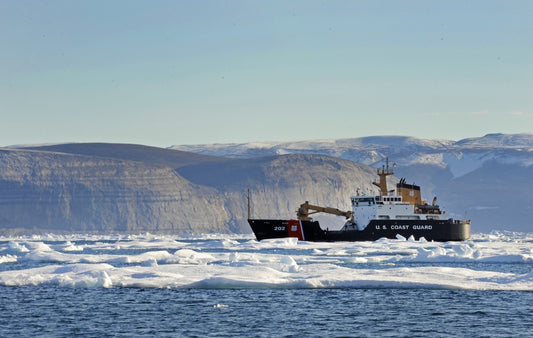 USCGC Willow (WLB-202) L76cm Ship Model