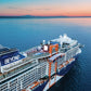 American Celebrity Beyond (Edge-Class) Cruise Ship 36 Inches Model