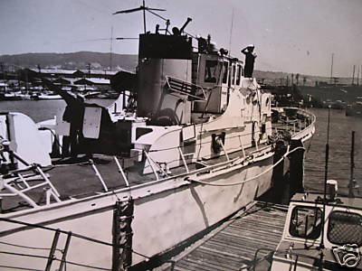 USCGC Cape Carter (WPB-95309) 30 Inches L Ship Model