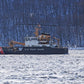 USCGC Willow (WLB-202) L91cm Ship Model