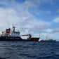USCGC Sequoia (WLB-215) L91cm Ship Model