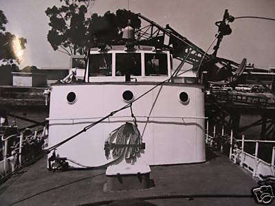 USCGC Cape Carter (WPB-95309) 30 Inches L Ship Model