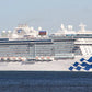 American Enchanted Princess (Royal-Class) Cruise Ship 30 Inches Model