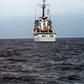 USCGC Active WMEC-618 36 Inches L Ship Model