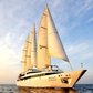 French Le Ponant (Ponant Fleet) 36 Inches Ship Model