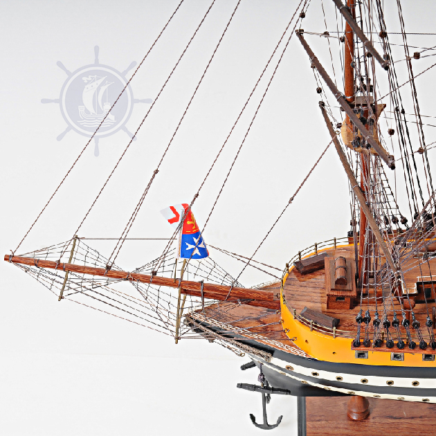 Amerigo Vespucci Medium Admiral Line | NEW DESIGN