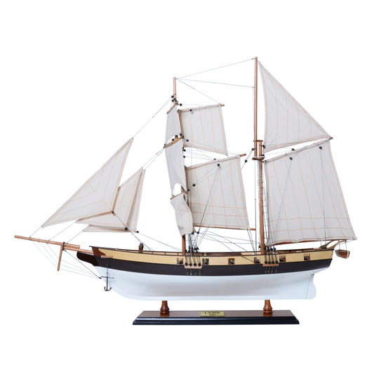 LYNX MODEL SHIP PAINTED | High-quality | Fully Assembled Wooden Ship Models For Wholesale