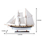 LYNX MODEL SHIP PAINTED | High-quality | Fully Assembled Wooden Ship Models For Wholesale