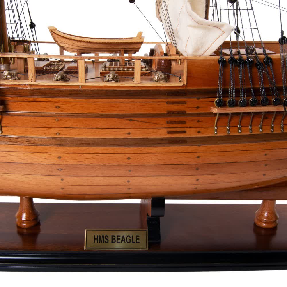 BEAGLE MODEL SHIP | High-quality | Fully Assembled Wooden Ship Models For Wholesale