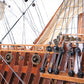 SAN FELIPE MODEL SHIP OPEN HULL L80 | High-quality | Fully Assembled Wooden Ship Models For Wholesale