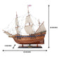 MAYFLOWER MODEL SHIP HIGH QUALITY | High-quality | Fully Assembled Wooden Ship Models For Wholesale