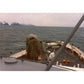 USCGC Cape Starr (WPB-95320) 30 Inches L Ship Model