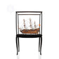 SAN FELIPE LARGE WITH FLOOR DISPLAY CASE | High-quality | Fully Assembled Wooden Ship Models For Wholesale
